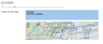 Defining Location New York City with Geo Coordinates and Label Big Apple Defining Location New York City with Geo Coordinates and Label Big Apple